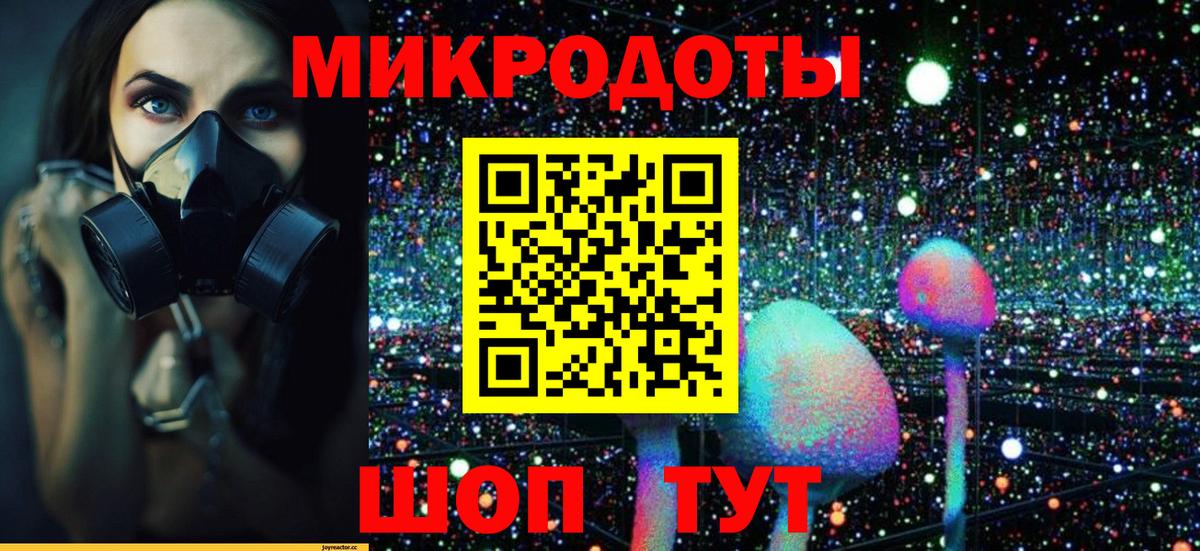Новоалександровск  Псилоцибиновые грибы Cubensis  купить наркоту  Псилоцибиновые грибы MAGIC MUSHROOMS  Вход с VPN 
