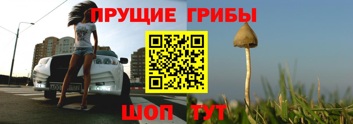 Галлюциногенные грибы Cubensis Новоалександровск